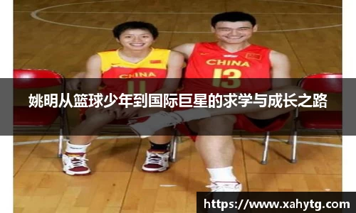 博鱼官方网站