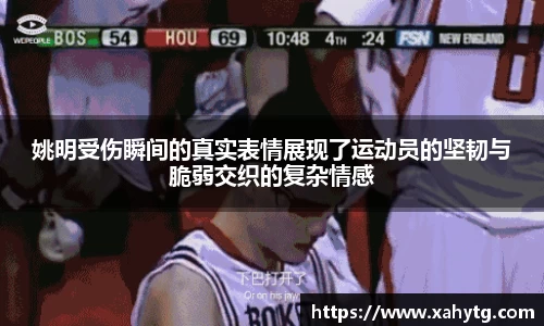 博鱼boyu体育