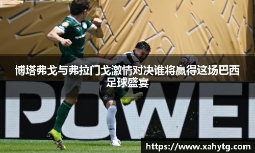 博塔弗戈与弗拉门戈激情对决谁将赢得这场巴西足球盛宴